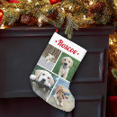Search for christmas stockings Pet