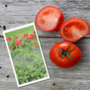 Search for guest towels napkins Nature