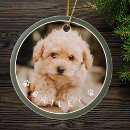 Search for pet memorial ornaments Paw