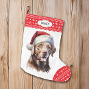 Search for chocolate lab christmas stockings Dogs