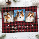 Search for dog lovers christmas cards Pet