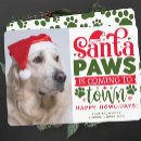 Search for puppy christmas cards Happy howlidays