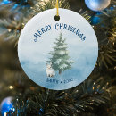 Search for arctic christmas tree decorations Penguin