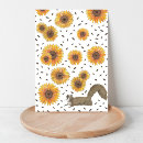Search for sunflower seed Funny