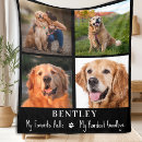 Search for pet memorial blankets Sympathy