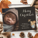 Search for fungi cards Mushroom