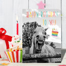 Search for printable birthday cards Instant download