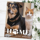 Search for funny cats and dogs postcards Dog lover