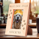 Search for dog memorial photo display Best dog ever