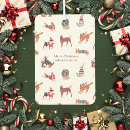 Search for white dog interior car accessories Dogs