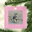Search for joy christmas tree decorations Pink