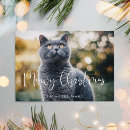 Search for cat pun christmas cards Pet