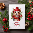 Search for yorkie cards Yorkshire terrier