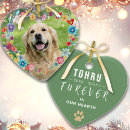 Search for side pet supplies Sympathy