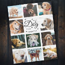 Search for photo dog blankets Best dog ever