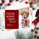 Search for kiss christmas cards Pet