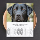 Search for pet sitter flyers Groomer