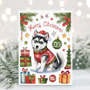 Search for husky christmas cards Siberian husky dog