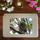 Search for sleeping bear stickers Animal