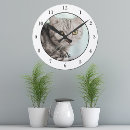 Search for pet owners Cute