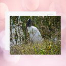 Search for stork postcards Landscape