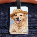 Search for dog luggage Modern