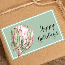Search for protea stickers Flowers