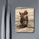 Search for monkey kids magnets Animal