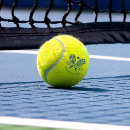 Search for for tennis players Tournament