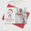 Search for maltese dog christmas cards Funny