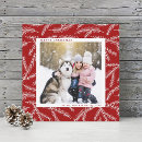 Search for pine branches christmas cards Modern