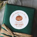 Search for little pumpkin baby shower Burnt orange