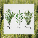 Search for culinary posters Rosemary
