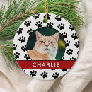 Search for pet name christmas tree decorations Picture