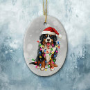Search for bernese mountain dog christmas tree decorations Pet