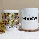 Search for cute white cat mugs Pet photo