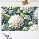 Search for beautiful gift wrap Hydrangea