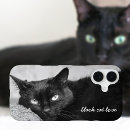 Search for black cat cases Kitty