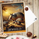 Search for armadillo postcards Nature