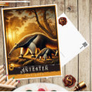 Search for anteating postcards Animal