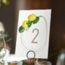 Search for lemon table cards Citrus table number
