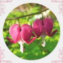 Search for bleeding heart flowers stickers Floral