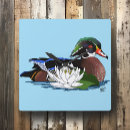 Search for wildlife clocks Waterfowl