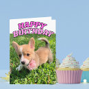 Search for corgi cards Pembroke welsh corgi