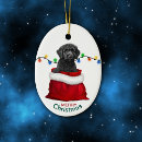 Search for mutt christmas tree decorations Animal