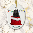 Search for pomeranian christmas tree decorations Animal