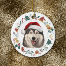 Search for alaskan malamute christmas tree decorations Animal