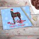 Search for colt christmas cards Pony