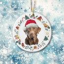 Search for chesapeake bay retriever christmas tree decorations Animal