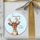 Search for nosed labels Reindeer